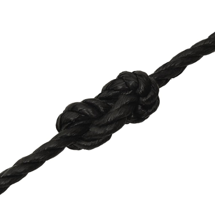 Frânghie de lucru, negru, 10 mm, 100 m, polipropilenă - WALTI WALTI