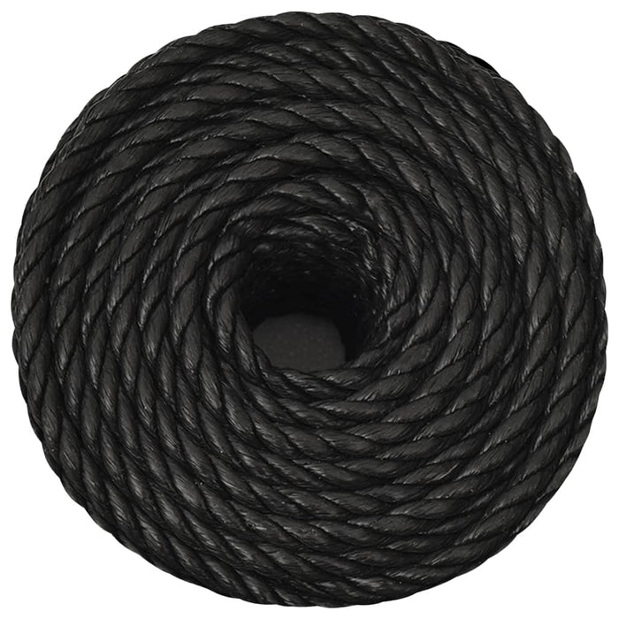 Frânghie de lucru, negru, 10 mm, 250 m, polipropilenă - WALTI WALTI