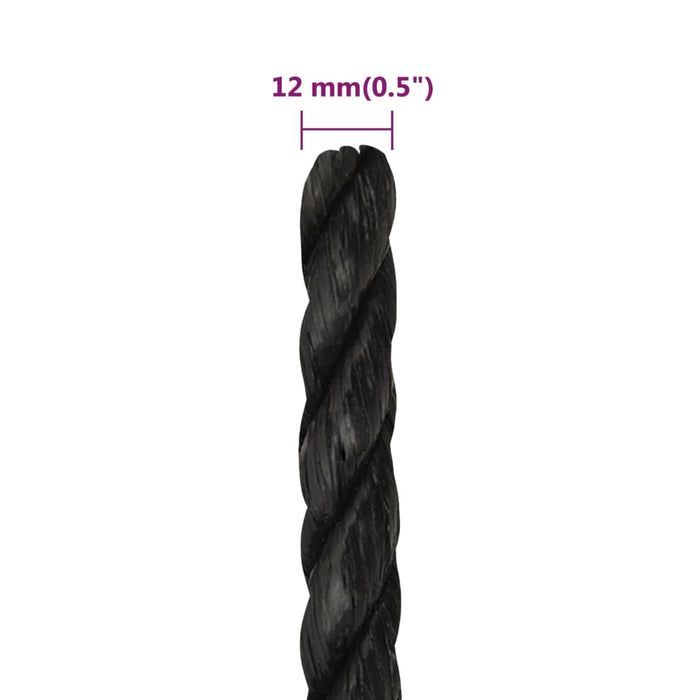 Frânghie de lucru, negru, 12 mm, 100 m, polipropilenă - WALTI WALTI