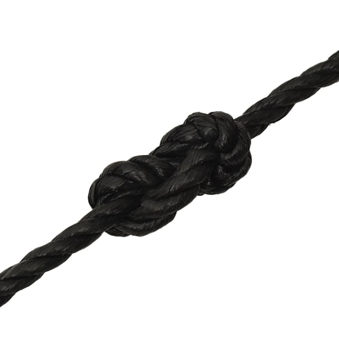 Frânghie de lucru, negru, 24 mm, 50 m, polipropilenă WALTI