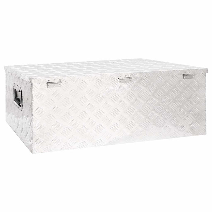 Cutie de depozitare, argintiu, 100x55x37 cm, aluminiu - WALTI WALTI