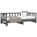 Pat de zi extensibil, gri, 2x(90x190) cm, lemn masiv de pin - WALTI WALTI