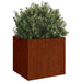 Jardiniere, 2 buc., 32x30x29 cm, oțel corten - WALTI WALTI