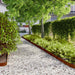 Borduri de gazon 50 buc. 10x103 cm oțel Corten flexibil - WALTI WALTI