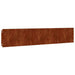 Borduri de gazon 10 buc. 20x103 cm oțel Corten flexibil - WALTI WALTI