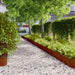Borduri de gazon 10 buc. 20x103 cm oțel Corten flexibil - WALTI WALTI