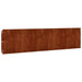 Borduri de gazon 10 buc. 25x103 cm oțel Corten flexibil - WALTI WALTI