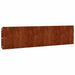 Borduri de gazon 10 buc. 25x103 cm oțel Corten flexibil - WALTI WALTI