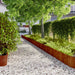 Borduri de gazon 10 buc. 25x103 cm oțel Corten flexibil - WALTI WALTI