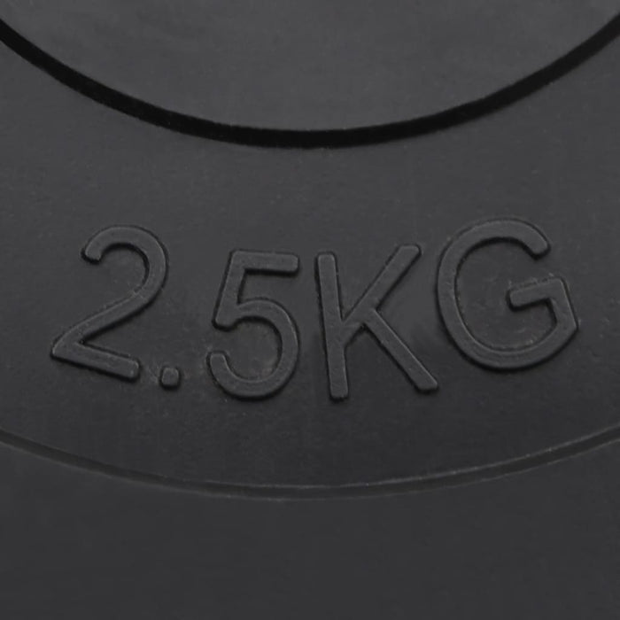 Plăci de greutate, 6 buc., 30 kg, Ciment - WALTI WALTI