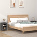 Noptiere, 2 buc., gri, 40x35x55 cm, lemn masiv de pin - WALTI WALTI