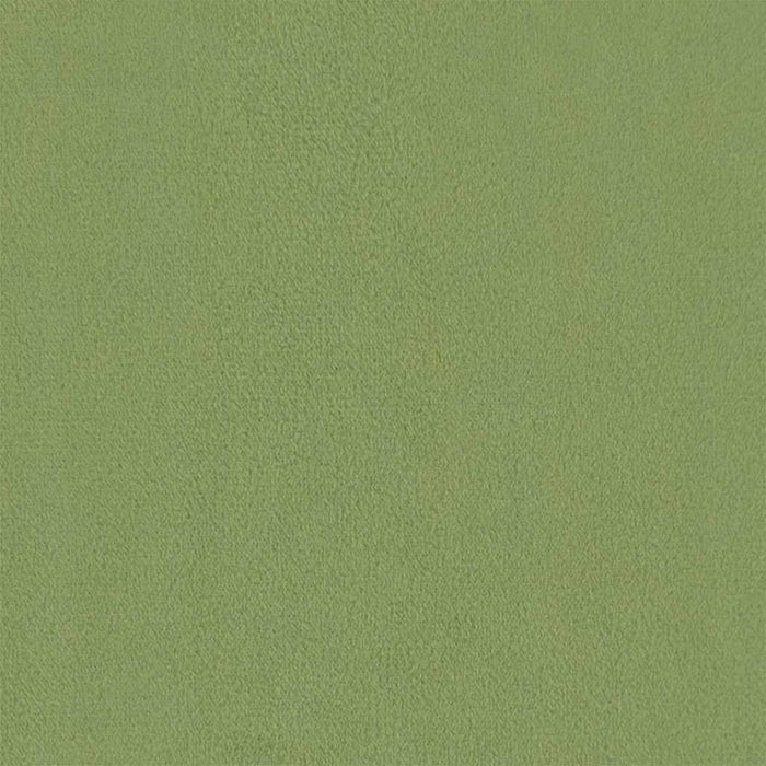 Fotoliu cu taburet, verde deschis, catifea WALTI