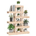Suport pentru plante, 85x25x109,5 cm, lemn masiv de pin - WALTI WALTI
