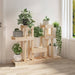 Suport pentru plante, 104,5x25x77,5 cm, lemn masiv de pin - WALTI WALTI
