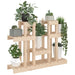 Suport pentru plante, 104,5x25x77,5 cm, lemn masiv de pin - WALTI WALTI