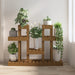 Suport pentru plante, maro, 104,5x25x77,5 cm, lemn masiv de pin - WALTI WALTI