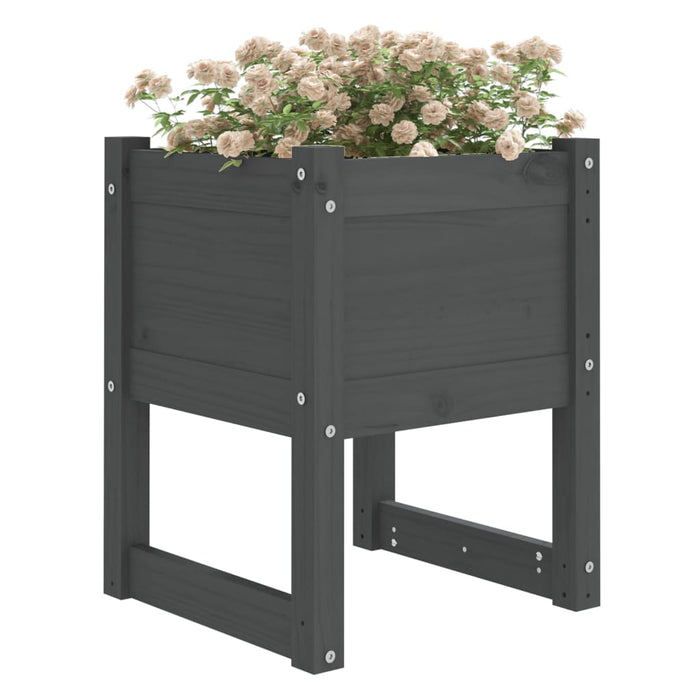 Jardiniere, 2 buc., gri, 40x40x52,5 cm, lemn masiv de pin - WALTI WALTI