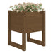 Jardiniere, 2 buc., maro miere, 40x40x52,5cm, lemn masiv de pin - WALTI WALTI