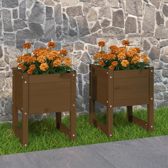 Jardiniere, 2 buc., maro miere, 40x40x52,5cm, lemn masiv de pin - WALTI WALTI