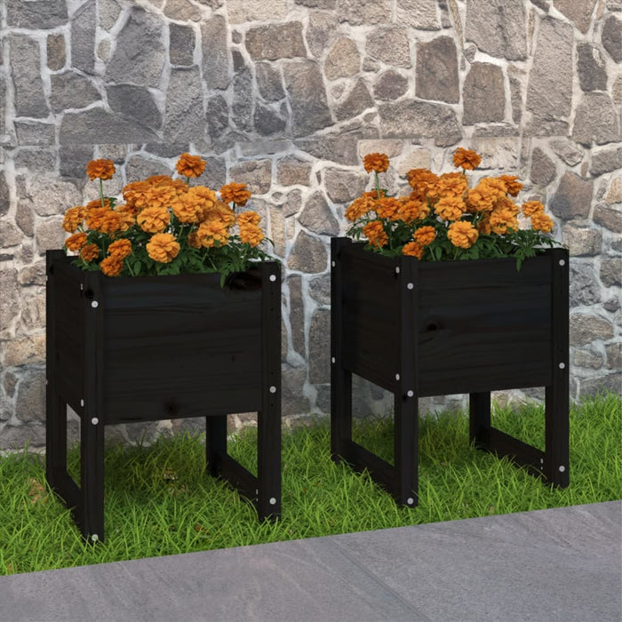 Jardiniere, 2 buc, Negru, 40x40x52,5 cm, lemn masiv de pin - WALTI WALTI