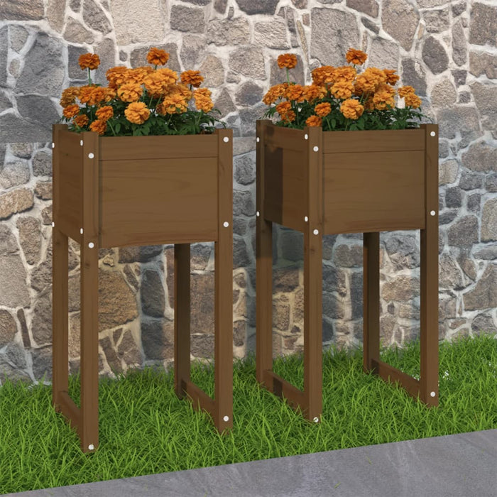 Jardiniere, 2 buc., maro miere, 40x40x81 cm, lemn masiv de pin - WALTI WALTI