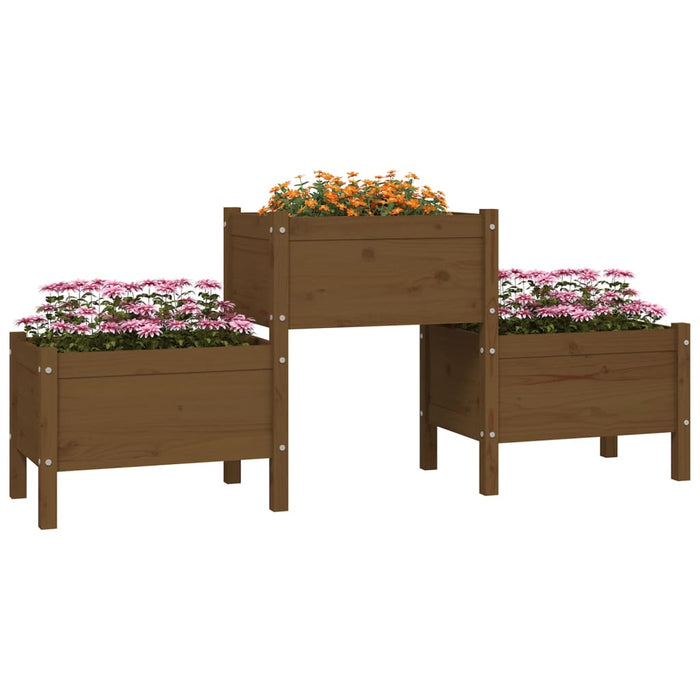 Jardinieră, maro miere, 178,5x44x75 cm, lemn masiv de pin - WALTI WALTI