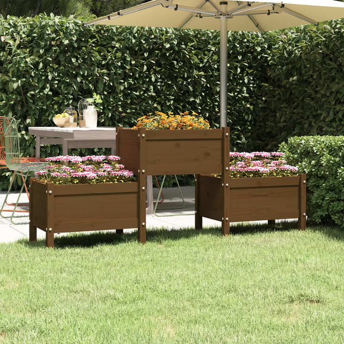 Jardinieră, maro miere, 178,5x44x75 cm, lemn masiv de pin - WALTI WALTI