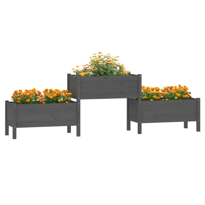 Jardinieră, gri , 245,5x44x75 cm, lemn masiv de pin - WALTI WALTI