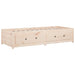 Pat de zi Small Single, 75x190 cm, lemn masiv pin - WALTI WALTI