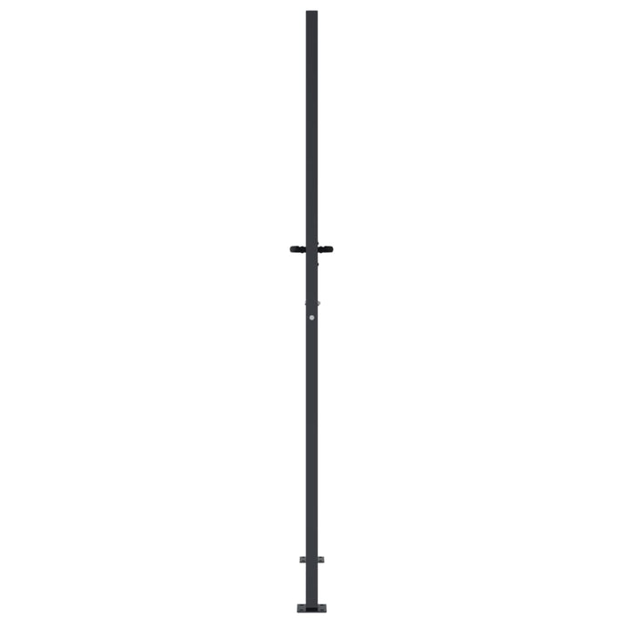 Poartă pentru grădină, antracit, 105x180 cm, oțel, design copac - WALTI WALTI
