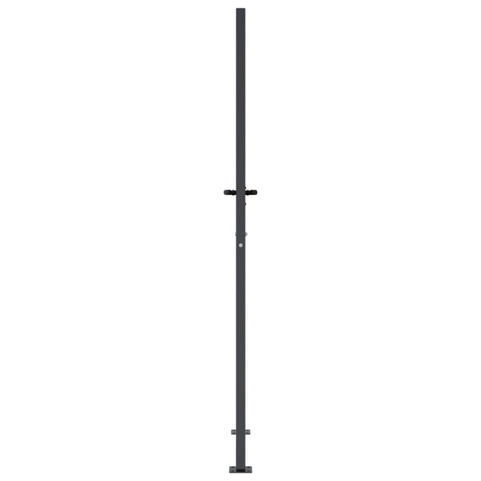 Poartă pentru grădină, antracit, 105x205 cm, oțel, model iarbă - WALTI WALTI