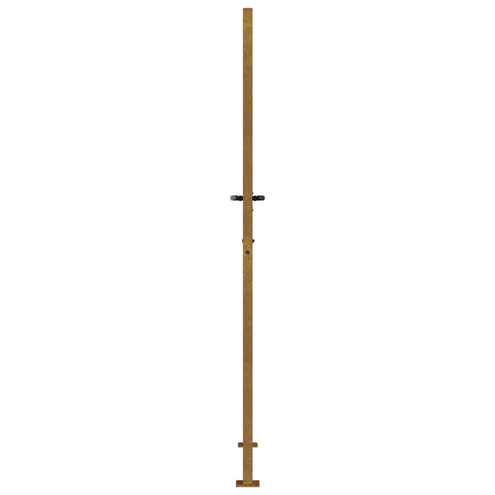Poartă de grădină 100x175 cm, oțel corten, design cu iarbă WALTI