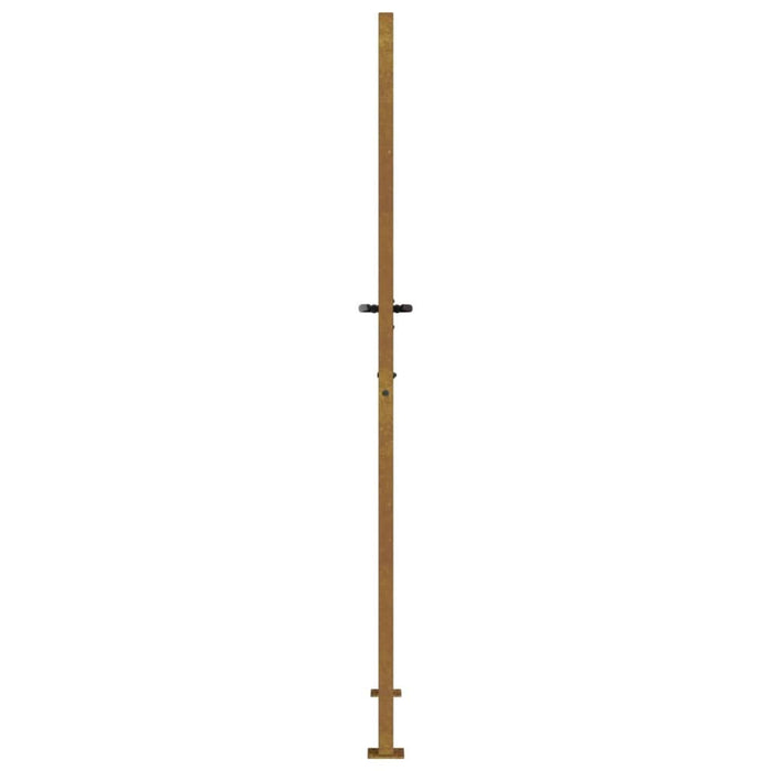 Poartă pentru grădină, 105x205 cm, oțel corten, model iarbă - WALTI WALTI