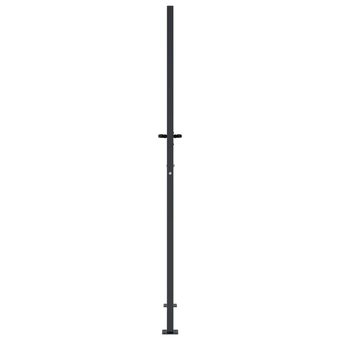 Poartă pentru grădină, antracit, 105x180 cm, oțel, model bambus - WALTI WALTI