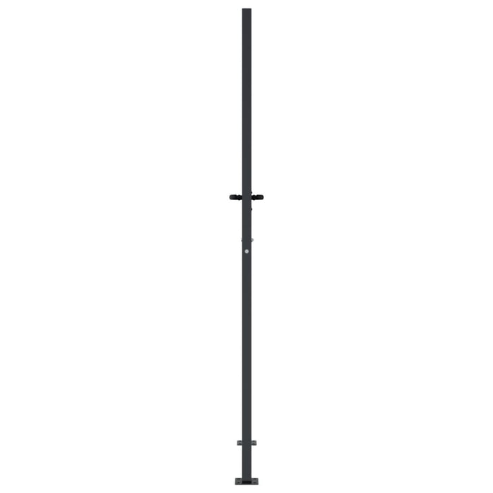Poartă pentru grădină, antracit, 105x205 cm, oțel, model bambus - WALTI WALTI