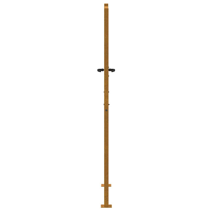 Poartă de grădină 100x200 cm, oțel corten, design copac WALTI