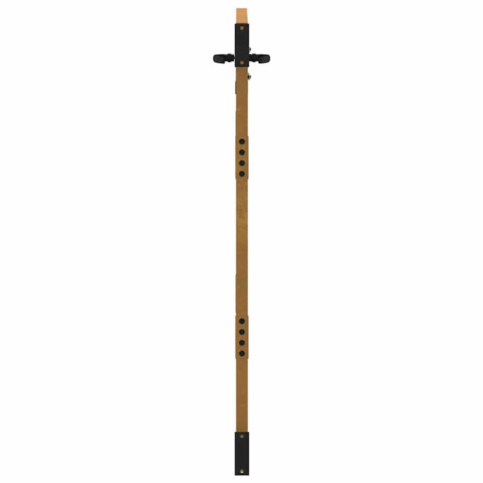 Poartă de grădină 85x125 cm, oțel corten, design cu iarbă WALTI