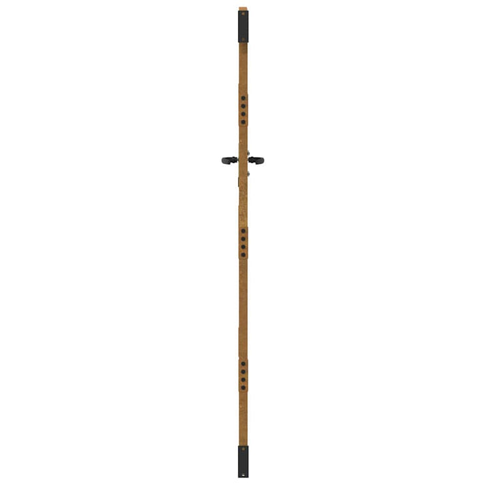 Poartă de grădină 85x175 cm, oțel corten, design cu iarbă WALTI