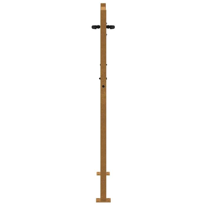 Poartă de grădină 100x150 cm, oțel corten, design cu iarbă WALTI