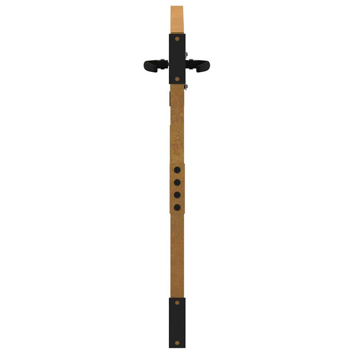 Poartă de grădină 85x100 cm, oțel corten, design bambus WALTI