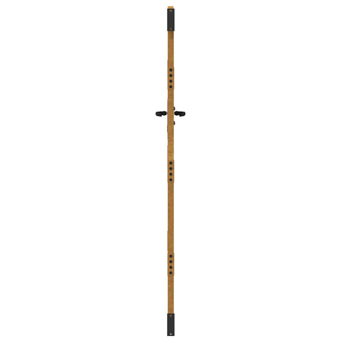 Poartă de grădină 85x175 cm, oțel corten, design bambus WALTI