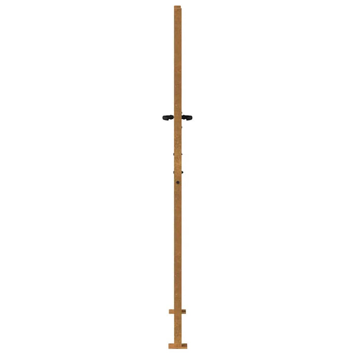 Poartă de grădină 100x200 cm, oțel corten, design bambus WALTI
