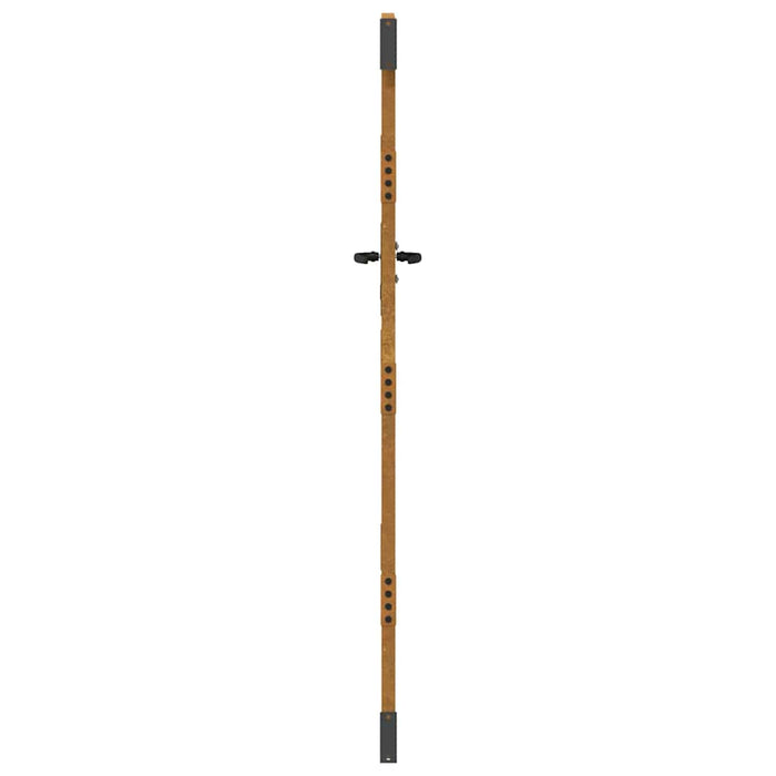 Poartă de grădină 85x175 cm, oțel corten, design pătrat WALTI