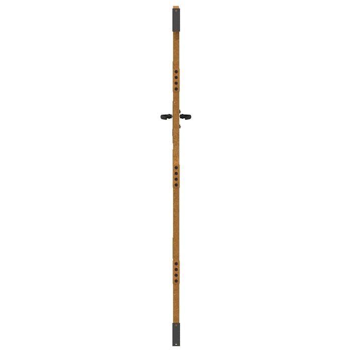 Poartă de grădină 85x200 cm, oțel Corten, design pătrat WALTI