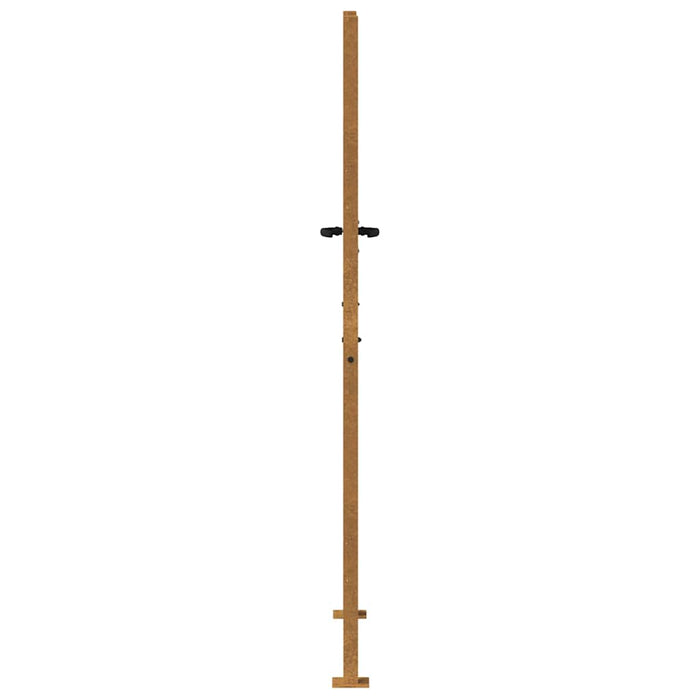 Poartă de grădină 100x175 cm, oțel Corten WALTI