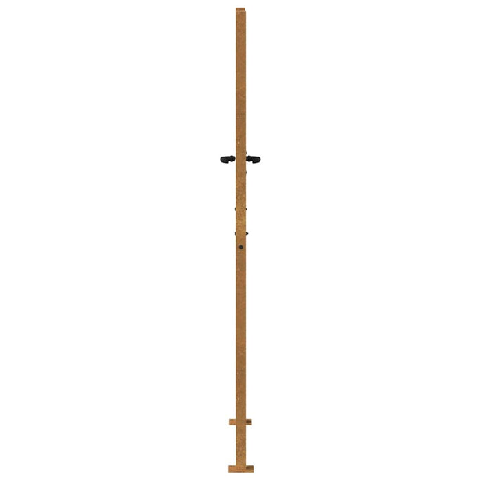 Poartă de grădină 100x200 cm, oțel Corten WALTI