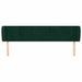 Tăblie de pat cu aripioare verde închis 163x23x78/88 cm catifea - WALTI WALTI