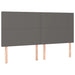 Tăblie cu LED-uri, gri, 160x5x118/128 cm, piele ecologică - WALTI WALTI