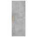Dulap montat pe perete, gri beton, 34,5x34x90 cm - WALTI WALTI