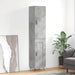 Dulap înalt, gri beton, 34,5x34x180 cm, lemn prelucrat - WALTI WALTI